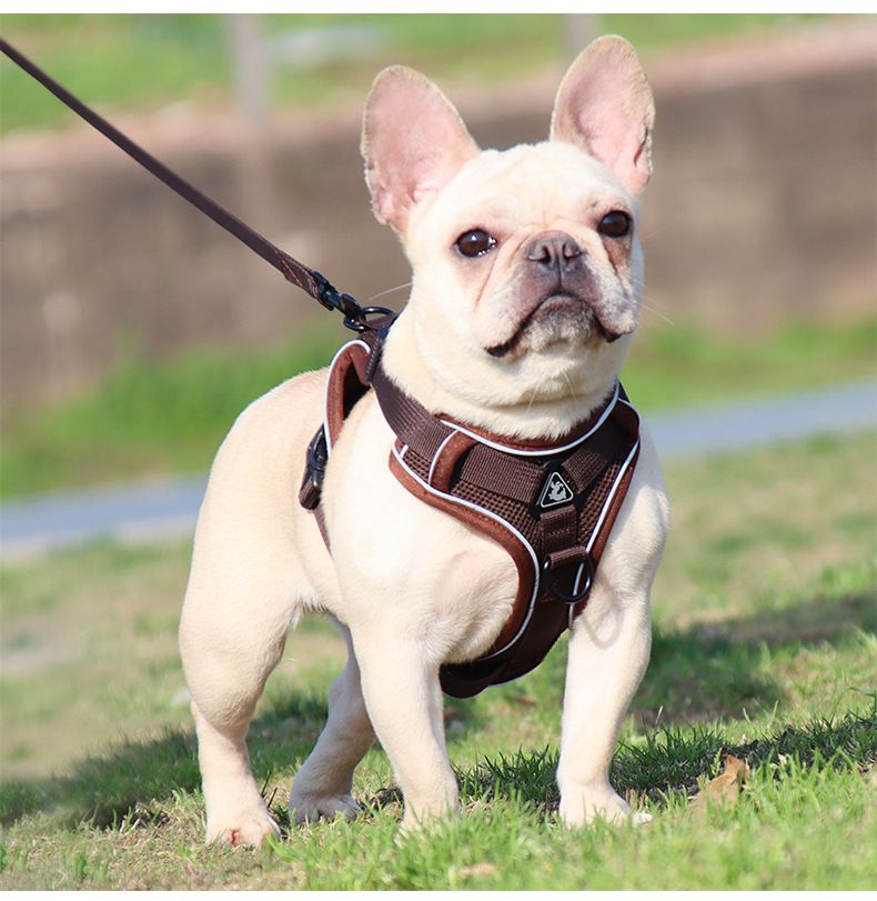 Pet Products Dog Traction Rope Vest Pet Cat Chest Harness Reflective Breathable Cat Walking Rope Puppy Rope_voghion.com