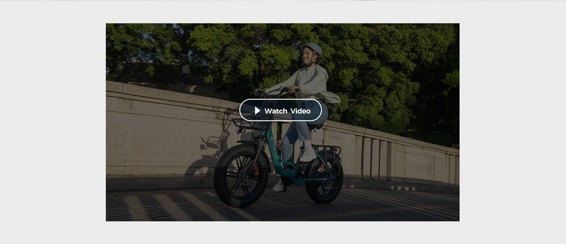 Bicicleta eléctrica ENGWE L20 Boost con motor de 250 W, batería de 48 V y 13 Ah, con faros delanteros, ideal para adultos y personas._voghion.com