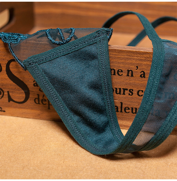 Tanga sexy bordada para mujer, cintas de gasa transparentes, ropa interior seductora sin costuras, pantalones calientes para mujer grandes_voghion.com