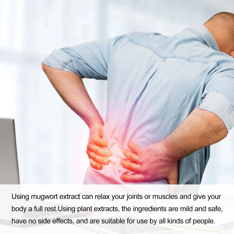 Patch lombaire à l'armoise Ximonth pour soulager les douleurs cervicales et lombaires_voghion.com