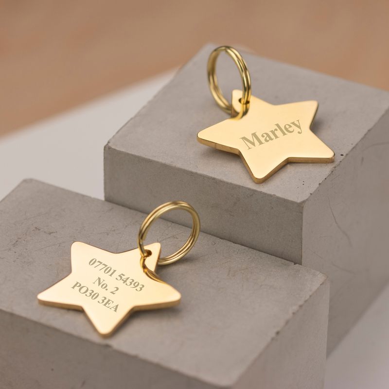 Thick Engraved Star And Personalized Tag With Gold Collar, Size 40mm, Gift For Dog, Detachable Ring By PawParty Store_voghion.com