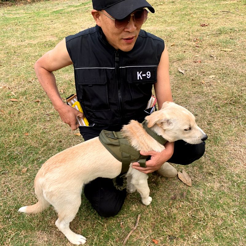 K9 Malinois German Shepherd Working Anti-Scratch Suit Clothes Vest Clothing Dog Equipment Training Supplies_voghion.com