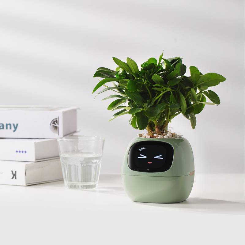 PlantsIO Ivy Smart Planter, Oändligt roligt över 49 rika uttryck, 7 Smartsensors och AlChips gör att odla växter enkelt och roligt_voghion.com