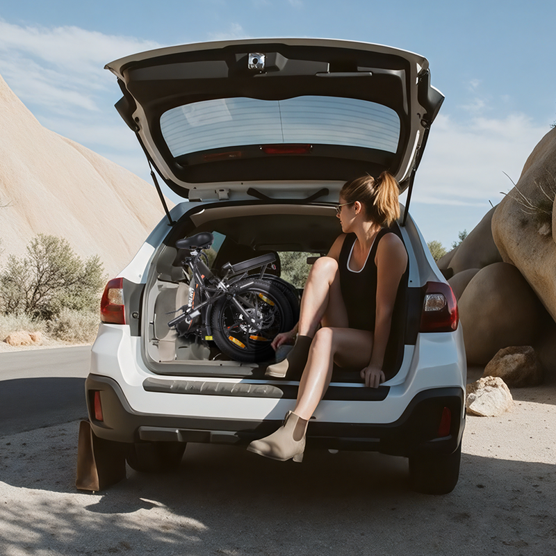 Cheevalry C16 20'' Elcykel 250W 48V 16AH E-cykel Fällbar stadscykel Vuxna_voghion.com