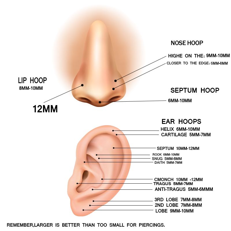 F136 Piercing de titânio Argola de nariz Tragus Zircão Brincos de hélice Cartilagem Seção articulada Mulheres Clicker Corpo Jóias Encantadoras_voghion.com