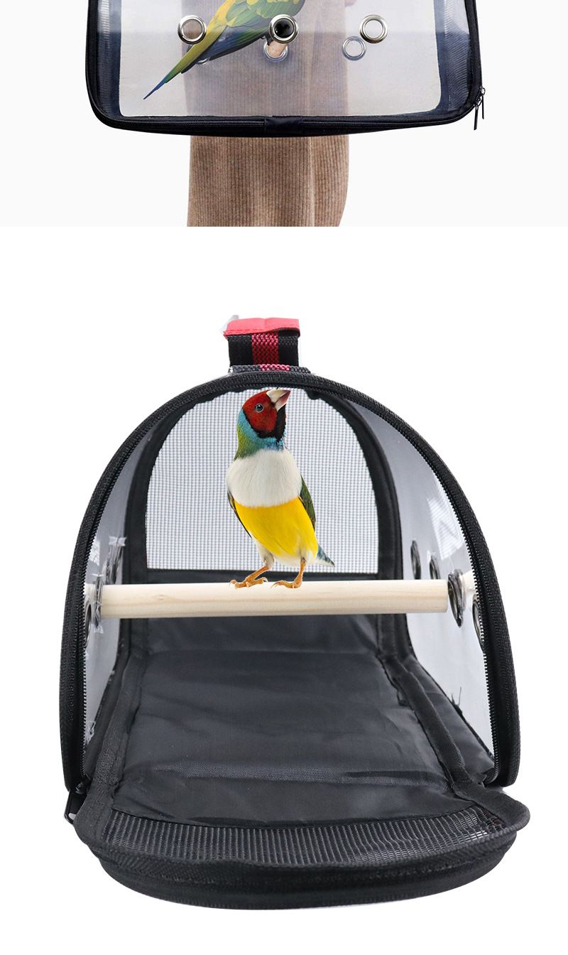 Bolsa para salir, suministros para mascotas, jaula grande para pájaros con estación de madera, bolsa para salir para loros, transparente_voghion.com