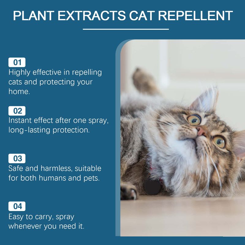 Yegbong Indoor Cat Repellent Spray Pet Repellent To Keep Cats Out Of Bed Indoor Cat Repellent Spray_voghion.com