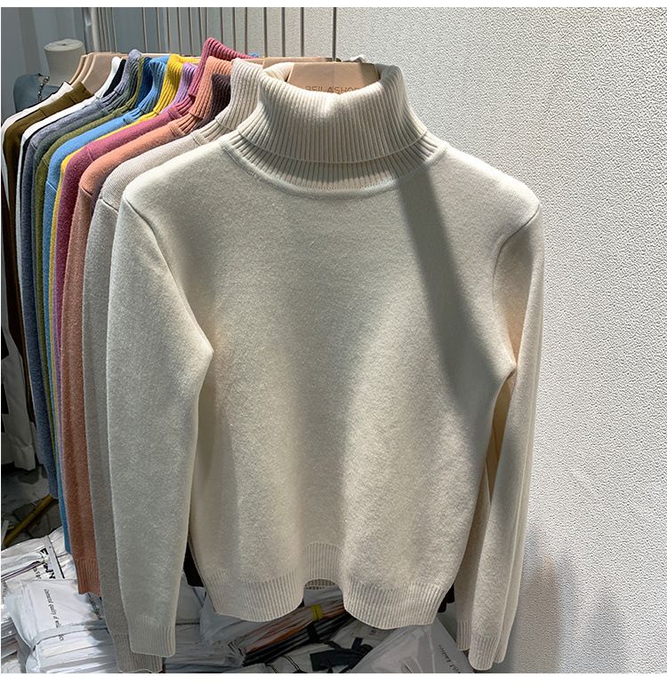 Women's Clothing Plush and thickened turtleneck sweater autumn and winter inner wear one piece fleece bottoming shirt knitted warm top trend_voghion.com