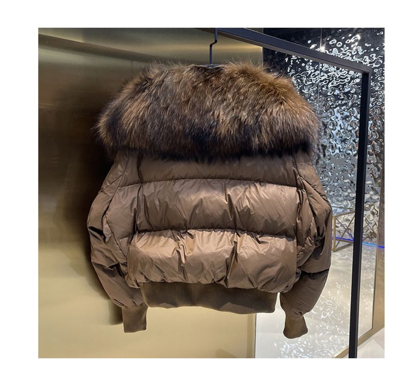 Damenbekleidung Wintermantel Damenmode kurze Daunenjacke Damen High-End-Damen 90 weiße Entendaunen Fuchspelzkragen_voghion.com
