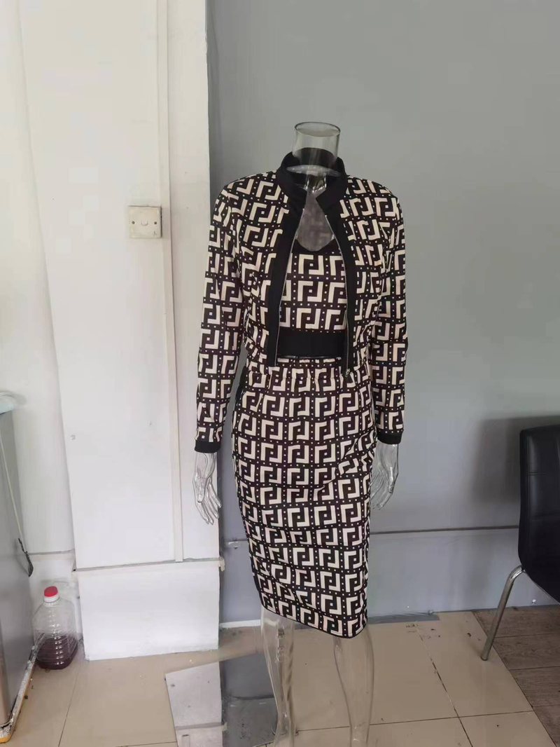 Giacca da donna a maniche lunghe stampata, fresca e dolce, alla moda, primaverile e autunnale, con gilet e gonna in tre pezzi_voghion.com