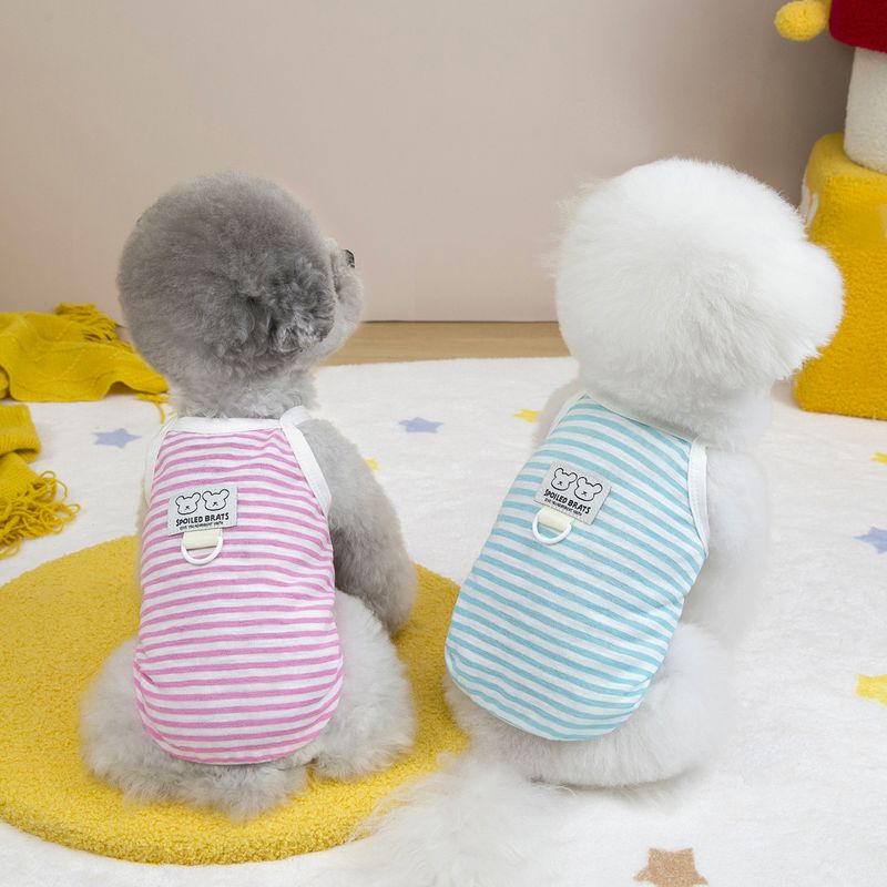 Abbigliamento per gatti, vestiti per cani, vestito per animali domestici, 25 strisce trasparenti, cinturino H_voghion.com