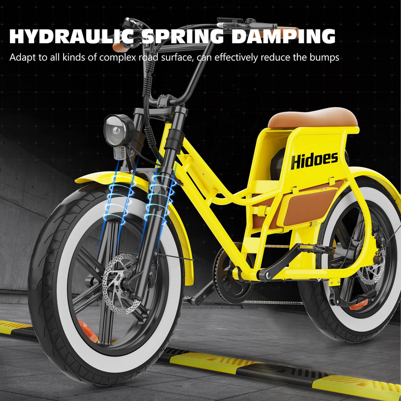 Hidoes C8 Elcykel för vuxna 20" Fat Tire Step Through City EBike 700W 48V 17Ah_voghion.com