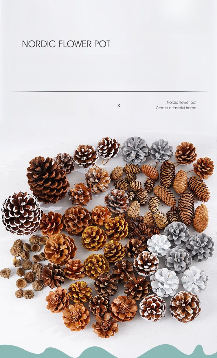 Décoration Pomme de pin Gland Fleur Fait main DIY Forêt Maternelle Création environnementale Branches séchées Sauvage Créatif_voghion.com