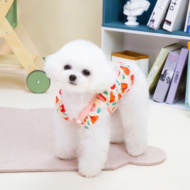 Maglietta estiva con cinturino sottile a forma di cuore, abbigliamento per cani di piccola e media taglia, Teddy Bichon_voghion.com