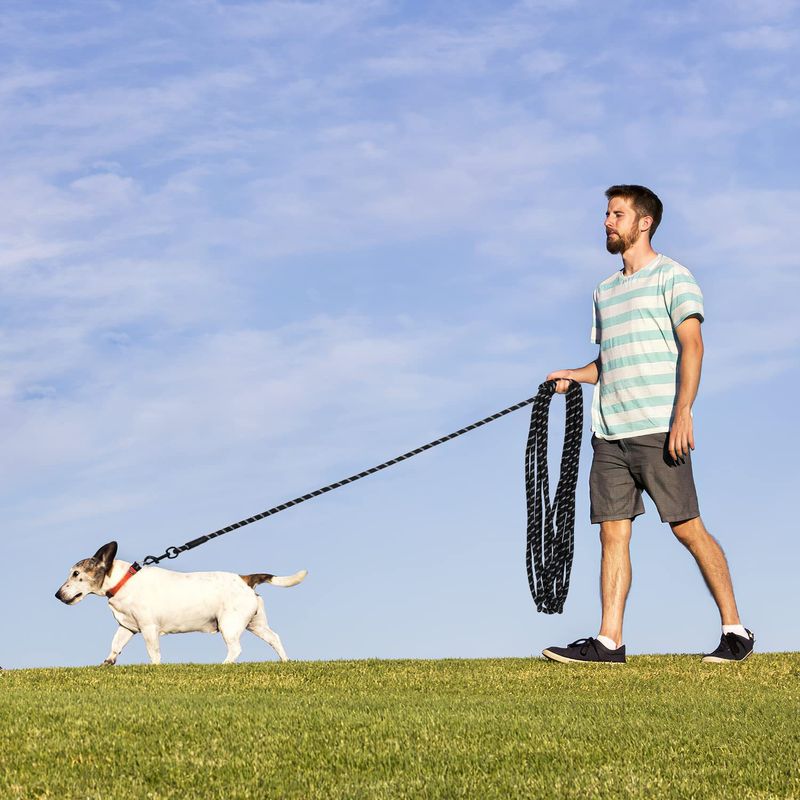 Guinzaglio per cani con cordino a P e catena per animali domestici non dolorosa e corda di trazione_voghion.com