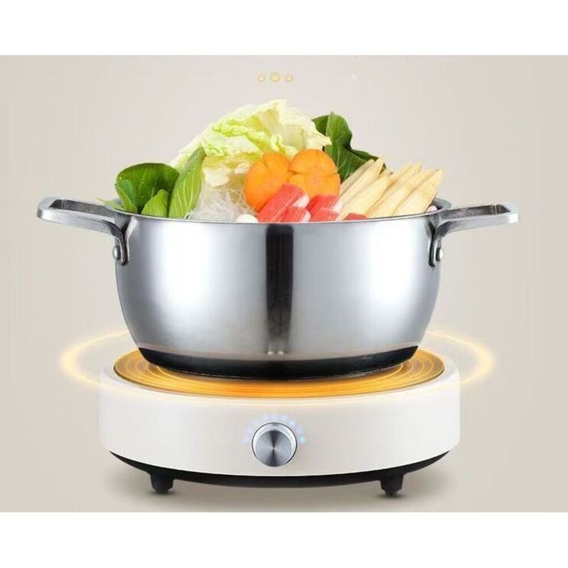Induction Cooker 110V Small Home Appliance 110 Volt US Canada Taiwan UK Standard High Power_voghion.com