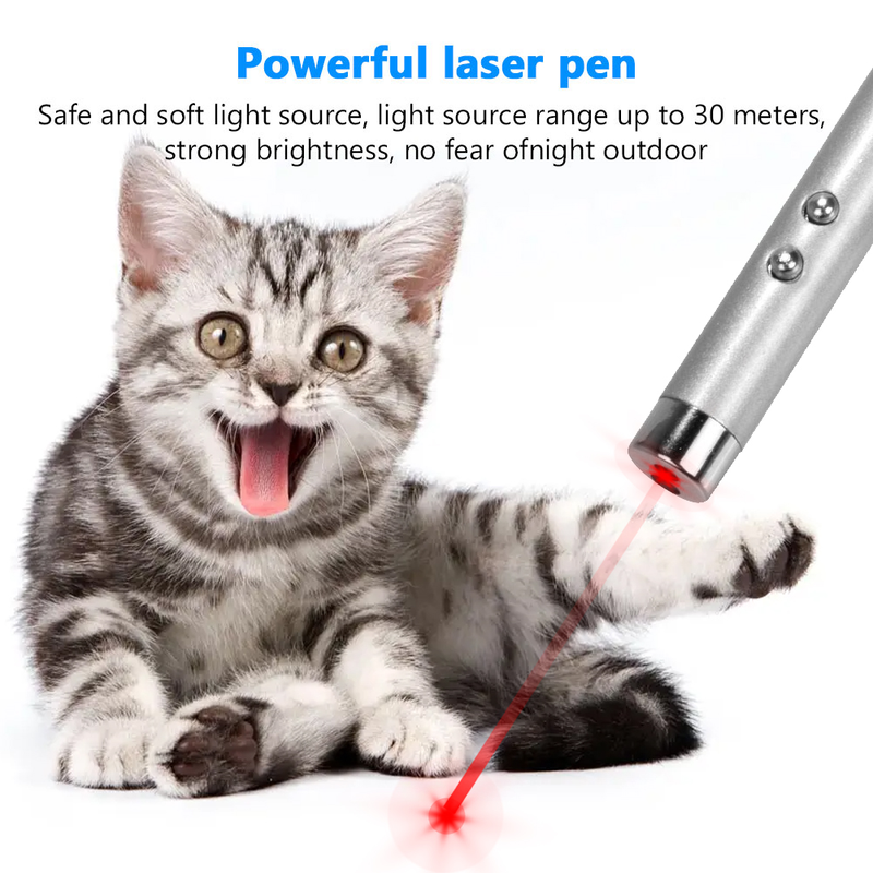 Funny Cat 5mw Laser Pointer Keychain Funny Dog Training Animal Battery Not Included For Lecterns Presentations Presentations Meetings Batons Levelers_voghion.com