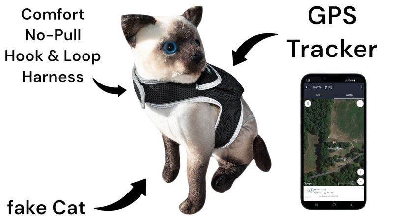 Waterproof Collar GPS Trackers for Pets w/ Wide Network & Map Coverage Size:L_voghion.com