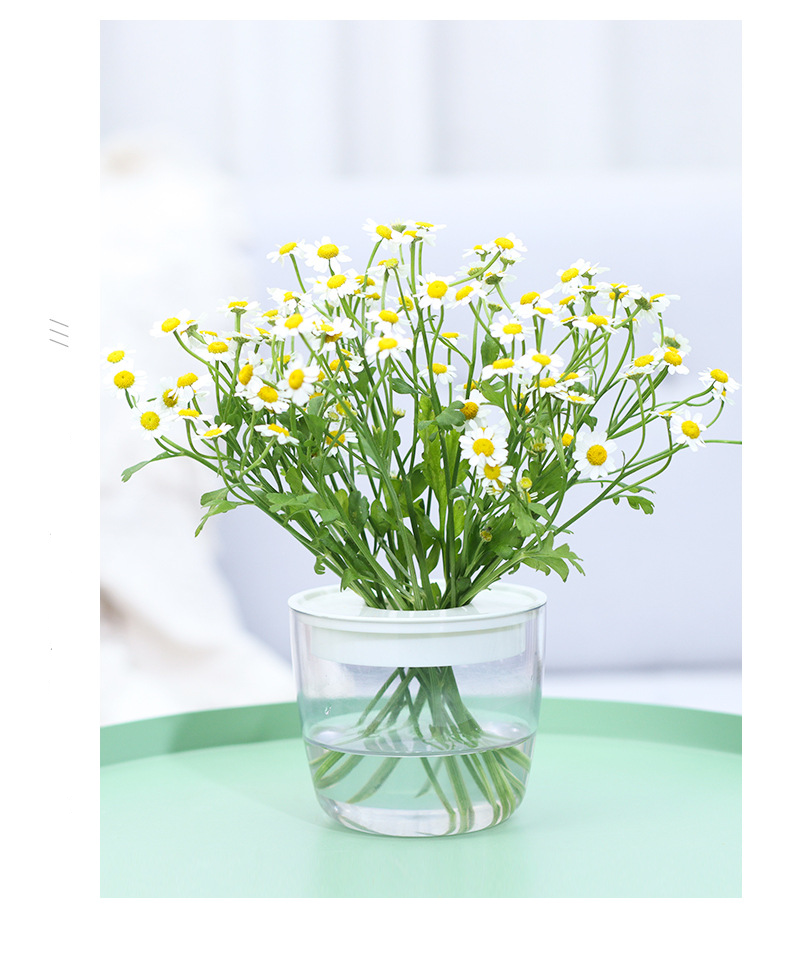 Gaartbedarfspack Nei G214 Voll transparent hydroponesch Blummendëppen Blummenarrangement Waasserfläsch_voghion.com