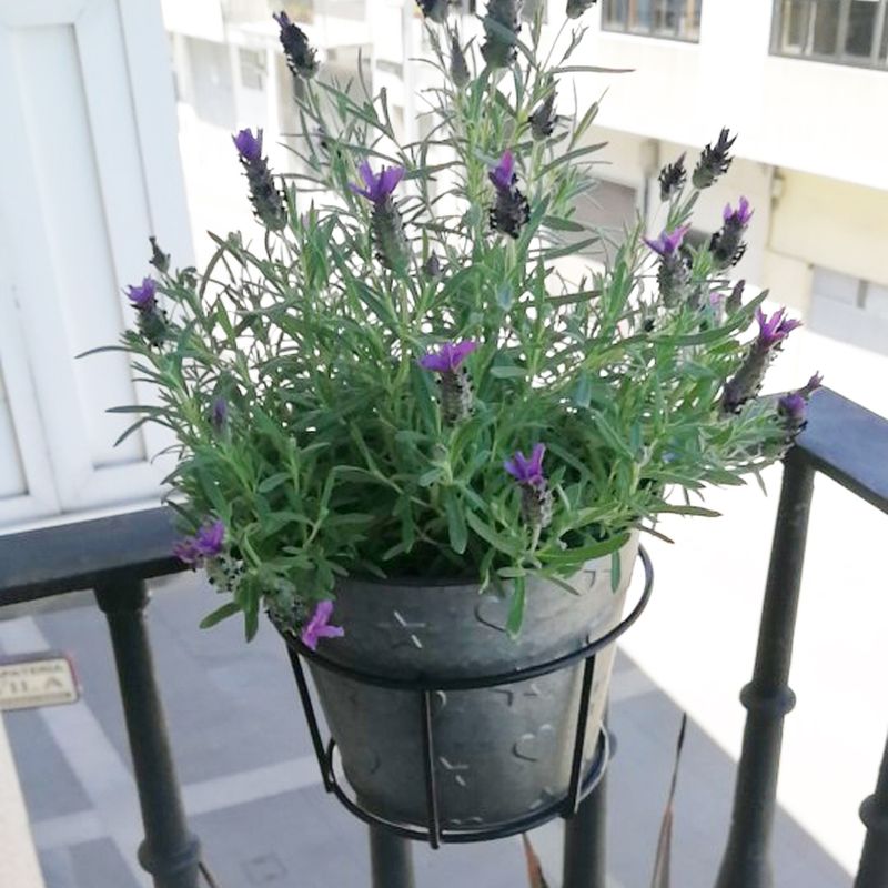 Hængende plantestativer til balkon, rundt blomsterpottestativ, rækværk til udendørs forsendelse af plantepotter_voghion.com