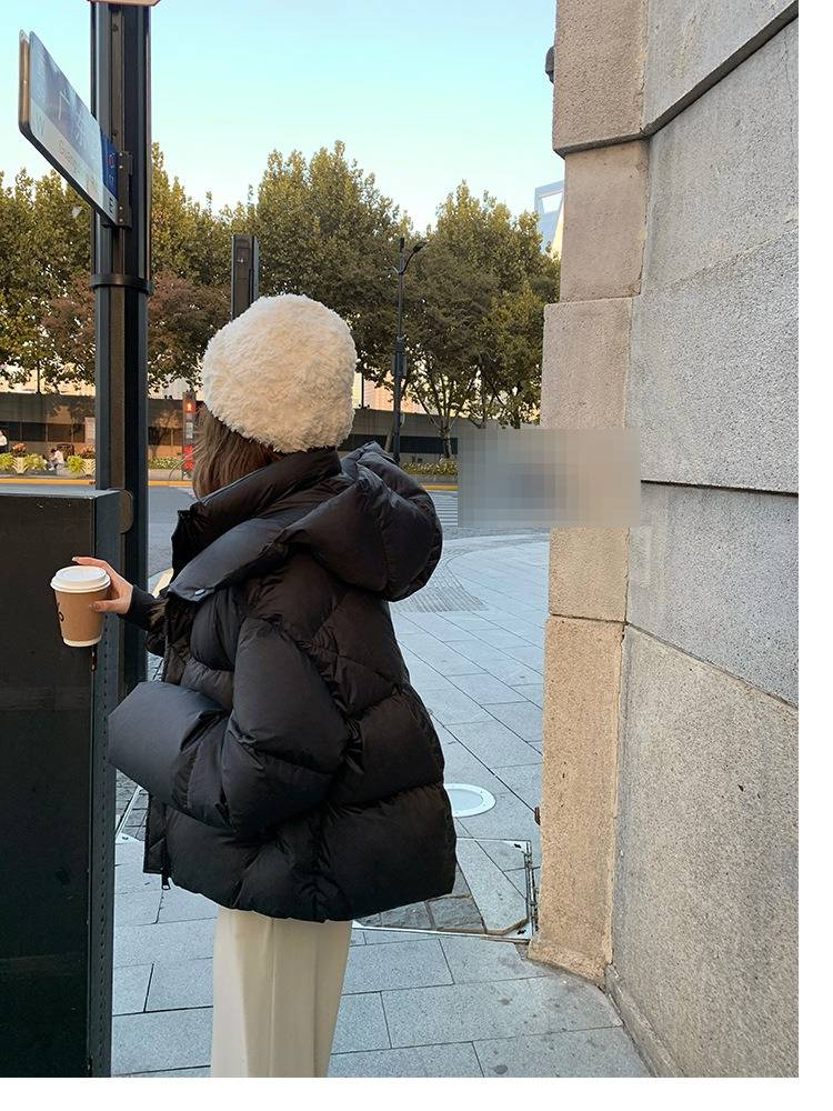 Damenbekleidung Winter Kurze Pufferjacke Mit Kapuze, Verdickter Lockerer Schnitt Modemantel Für Freizeit Und Pendeln_voghion.com