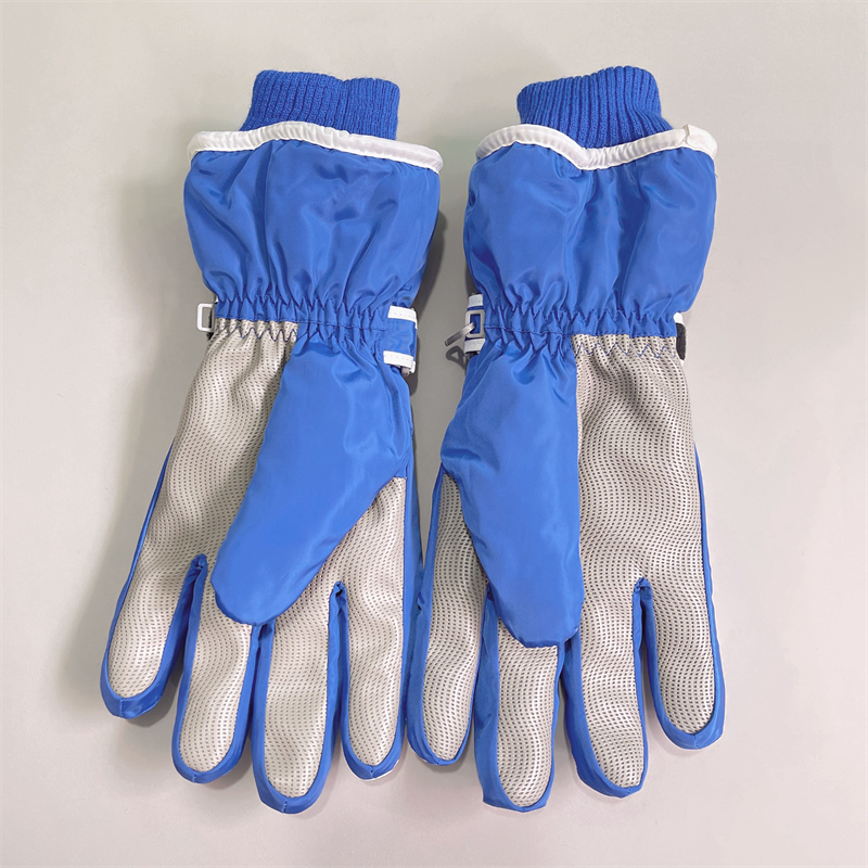 Couple style ski gloves women in winter, warm cold resistant with thick velvet anti freezing touch screen, electric_voghion.com