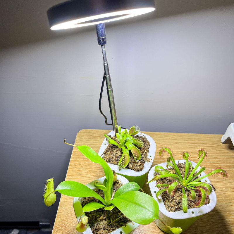Full Spectrum Indoor Solar LED Plant Growth Lamp For Succulent Plants And Flowers Indoor Ground Mounted Retractable_voghion.com