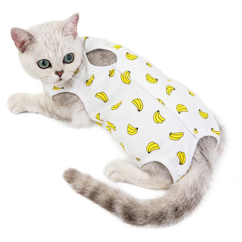 Combinaison rayée en coton Kawaii pour chien, vêtements pour petits chiens, motif dessin animé, pyjama pour chien, chihuahua, chaton, chiot, chemise pour chien_voghion.com
