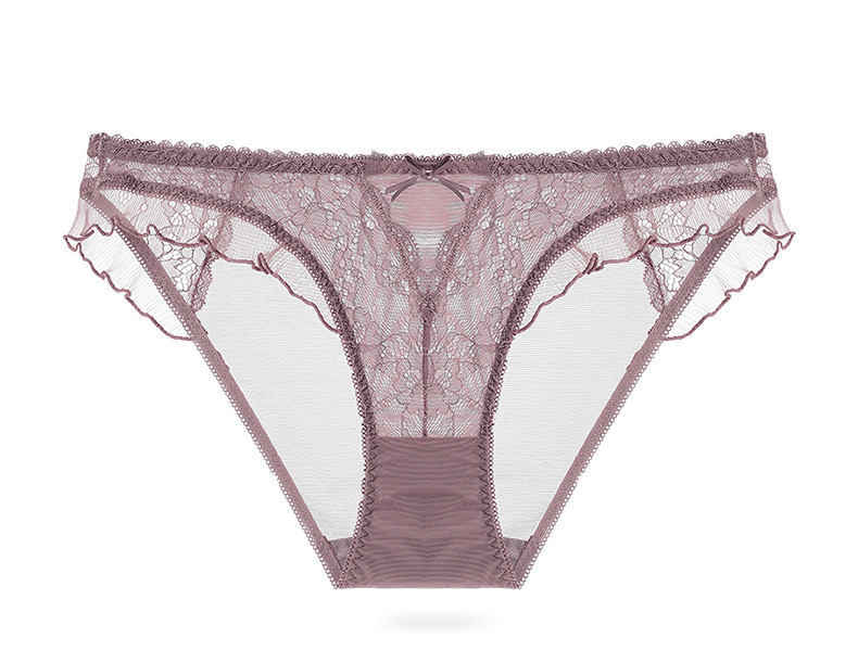 Sexy lace sheer mesh lift hip low waist triangle panties plus size_voghion.com