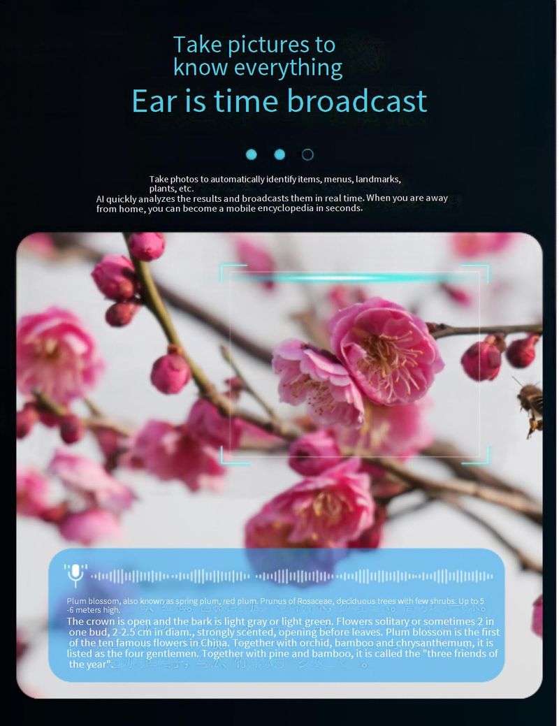 Lunettes intelligentes IA avec caméra HD 800 W, commande vocale, lecture de musique et intégration ChatGPT – Légères et élégantes_voghion.com