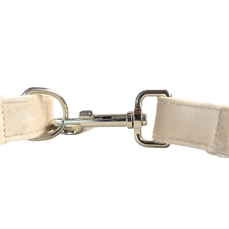 Conjunto de coleira para cães com novo design simples MUTTCO UDC-144_voghion.com
