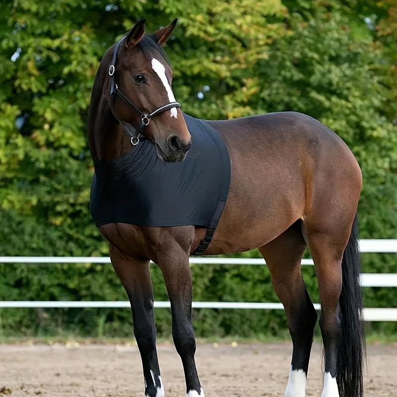 New Vest Shoulder Guard Clothing Inner Liner Breathable Chest Protector Anti-Friction Horse Bib_voghion.com