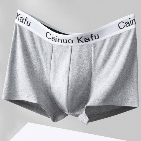 Sous-vêtements pour jeunes hommes, pantalons plats à taille moyenne pour hommes, styles pour hommes, sous-vêtements antibactériens et respirants à quatre coins_voghion.com