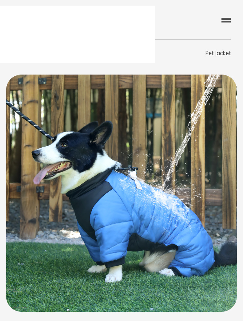 Winter Hund vierbeinigen Baumwollmantel warme Hundekleidung winddichte Welpenkleidung Haustierkleidung_voghion.com