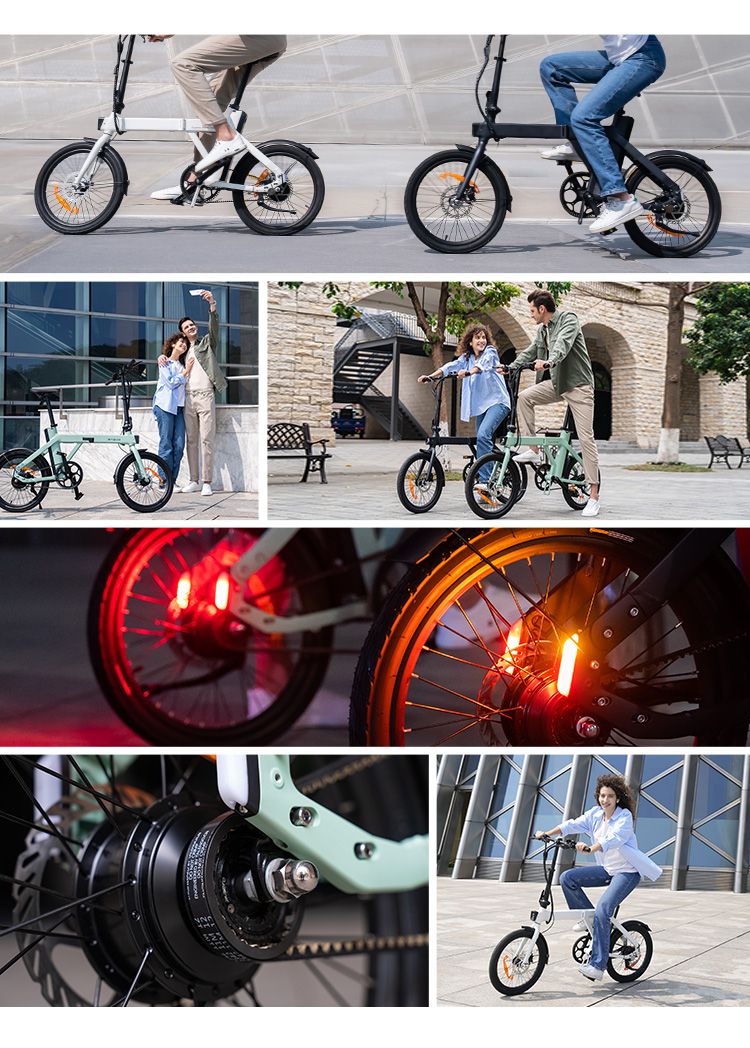 Bicicletta elettrica pieghevole ENGWE P20 da 20 pollici, motore con sensore di coppia da 250 W, batteria da 36 V e 9,6 Ah, freni a disco idraulici, bicicletta elettrica_voghion.com