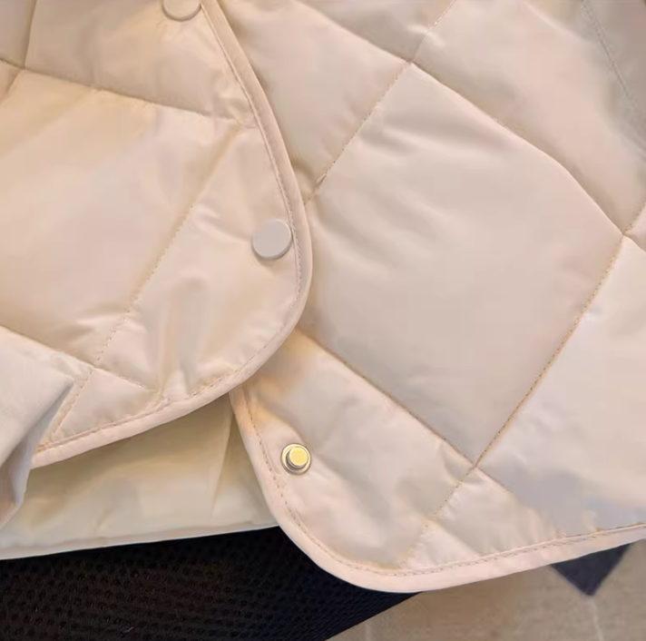 Cropped Quilted Puffer Vest – Korean Oversized Winter Coat (Lightweight, 4 Sizes, Petite-Friendly)_voghion.com