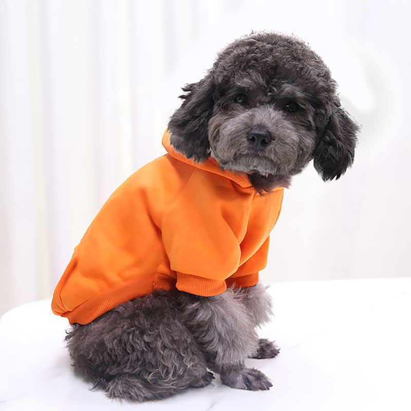Puppy Pet Hooded Sweatshirt Autumn Winter Two-legged Pocket Cat Dog Clothes_voghion.com