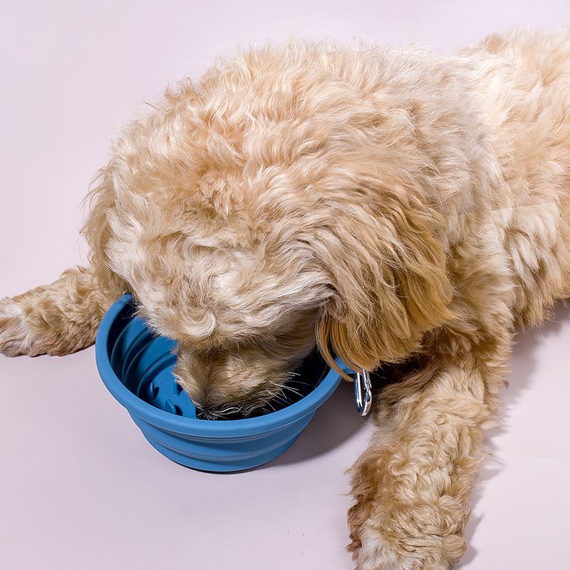 Cross-Border Foldable Silicone Outdoor Portable Cat Feeder Dog Slow Eating Pet Bowl Food Utensils_voghion.com