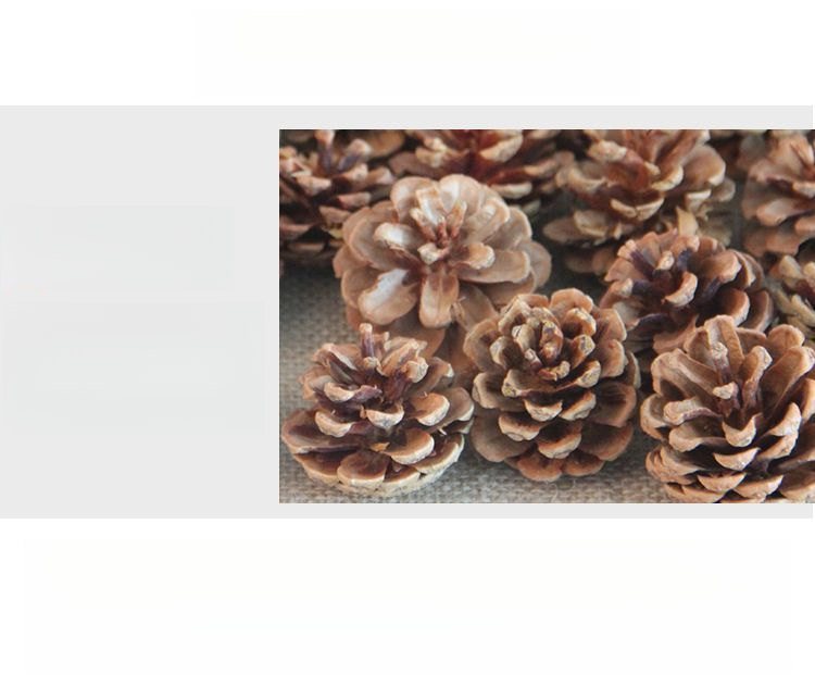 Decoration Pine Cone Acorn Flower Handmade DIY Forest Kindergarten Environmental Creation Dried Branches Wild Creative_voghion.com