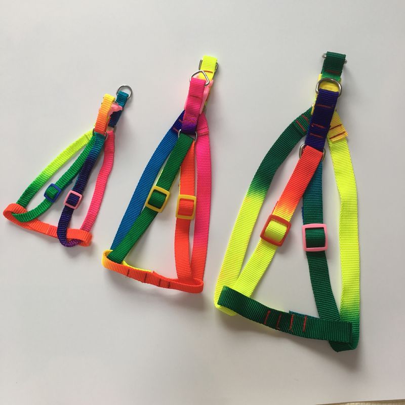Colete redondo para animais de estimação, coleira no peito, estilo corda colorida_voghion.com