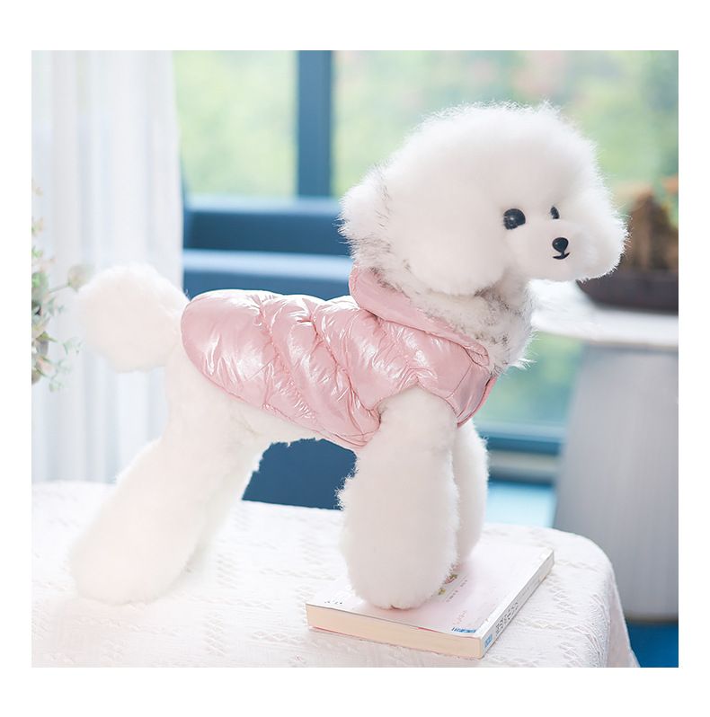 Nieuwe herfst- en huisdiervest kat winter katoenen hondenkleding_voghion.com