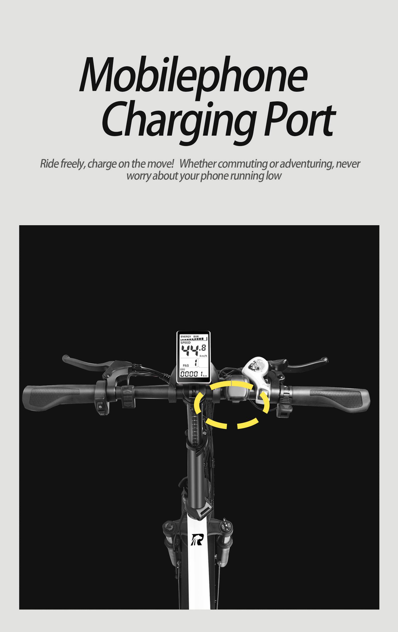 Vélo électrique pliable Rincc RN200, 750 W, batterie 48 V 15 Ah, 20 pouces_voghion.com