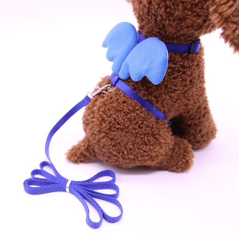 Forniture per animali domestici, guinzaglio a forma di angelo, imbracatura per petto, catena per cani_voghion.com