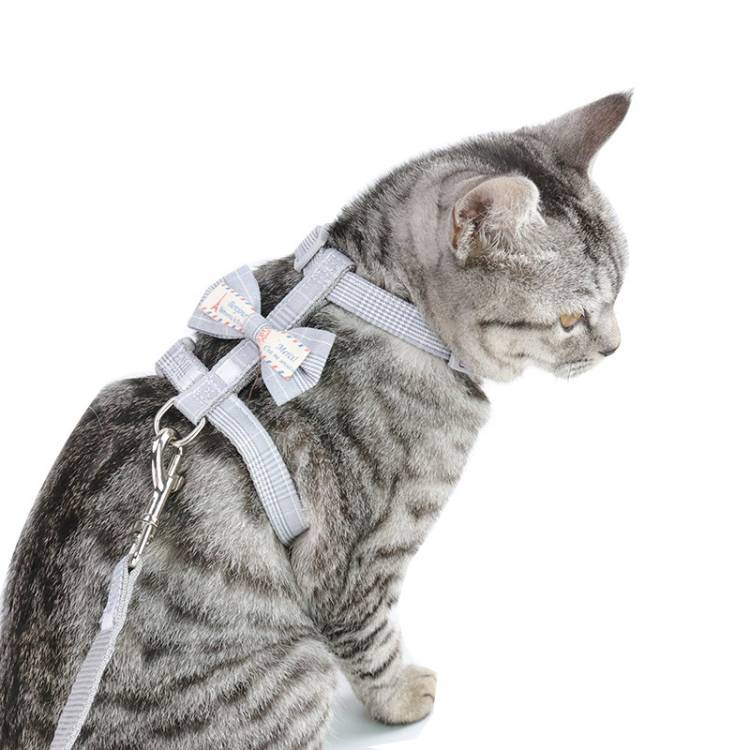 Bow-knot Anti-breakaway Adjustable Cat Leash_voghion.com