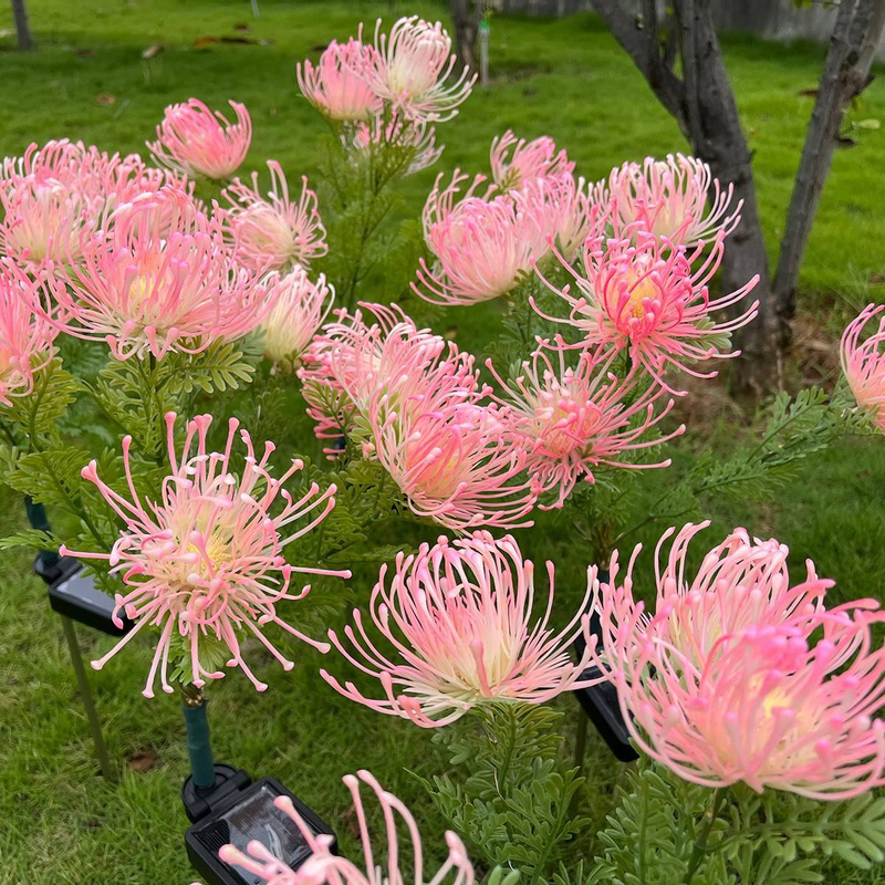 Luci solari da giardino - Decorazione per esterni a forma di ragno, giglio, girasole a LED, lampadina a cipolla, IP65 impermeabile, bianco caldo e opzioni colorate (confezione da 3/singola)_voghion.com