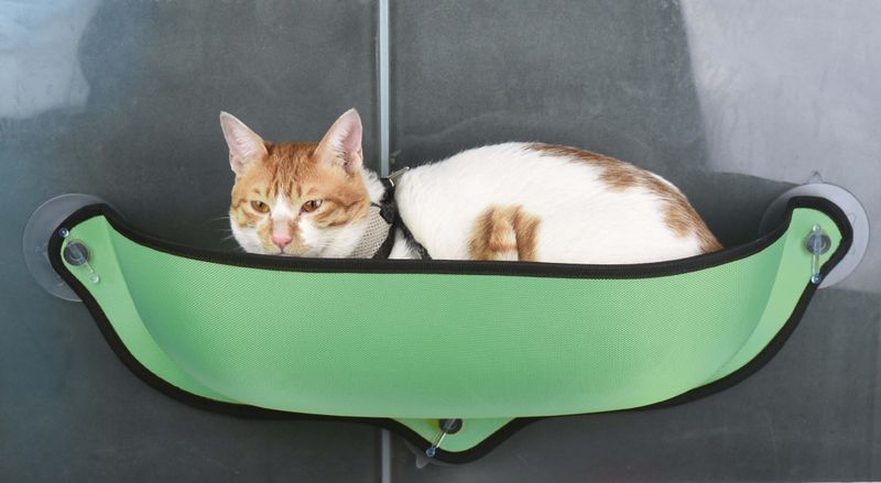 Pet Life 'Gravity-Lounge' Suction Cup Kitty Cat Lounger and Bed_voghion.com