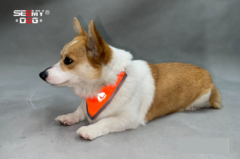 Pet Products Reflecterende sjaal voor huisdieren, hoge zichtbaarheid, verstelbare elastische halsband met drukknoopsluiting, regenboog reflecterende strepen, veilige zachte polyesterstof_voghion.com