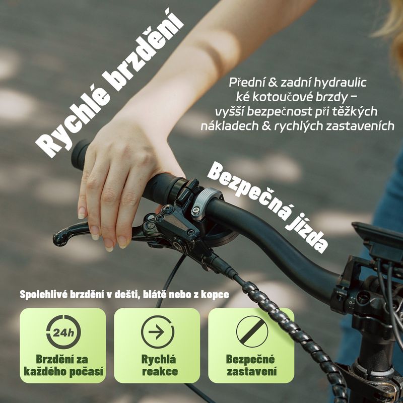 Fafrees FF20 CUV Elektrisches Lastenfahrrad 250W mit 48V 12Ah Doppelbatterien 20 Zoll_voghion.com