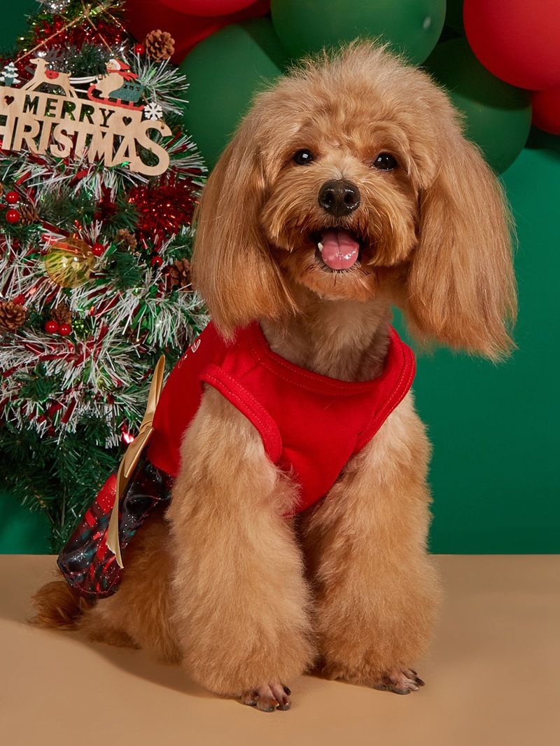 Weihnachtskatzenkleid mit Schleife und Weihnachtsdruck, Teddykleid, Hunderock, Haustier-Prinzessinnenkleid_voghion.com