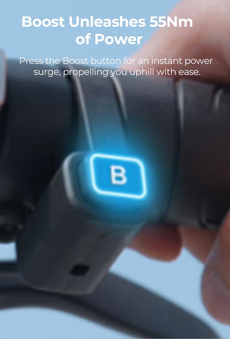 ENGWE EP-2 BOOST E-Mountain Bike 20X4.0 pollici Pneumatici per tutti i terreni Bicicletta elettrica Bicicletta elettrica pieghevole_voghion.com